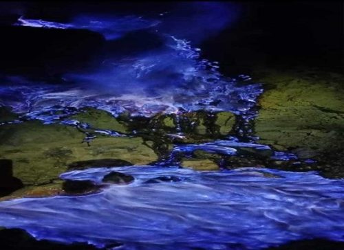 BLUE FIRE OF IJEN CRATER2