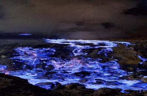 BLUE FIRE OF IJEN CRATER7